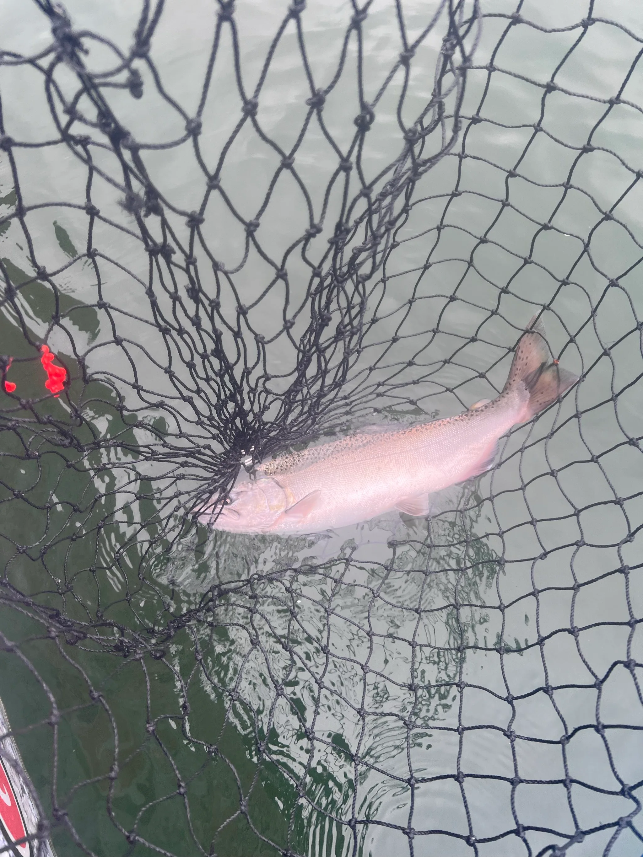 Fishing trip photo from October 10, 2026