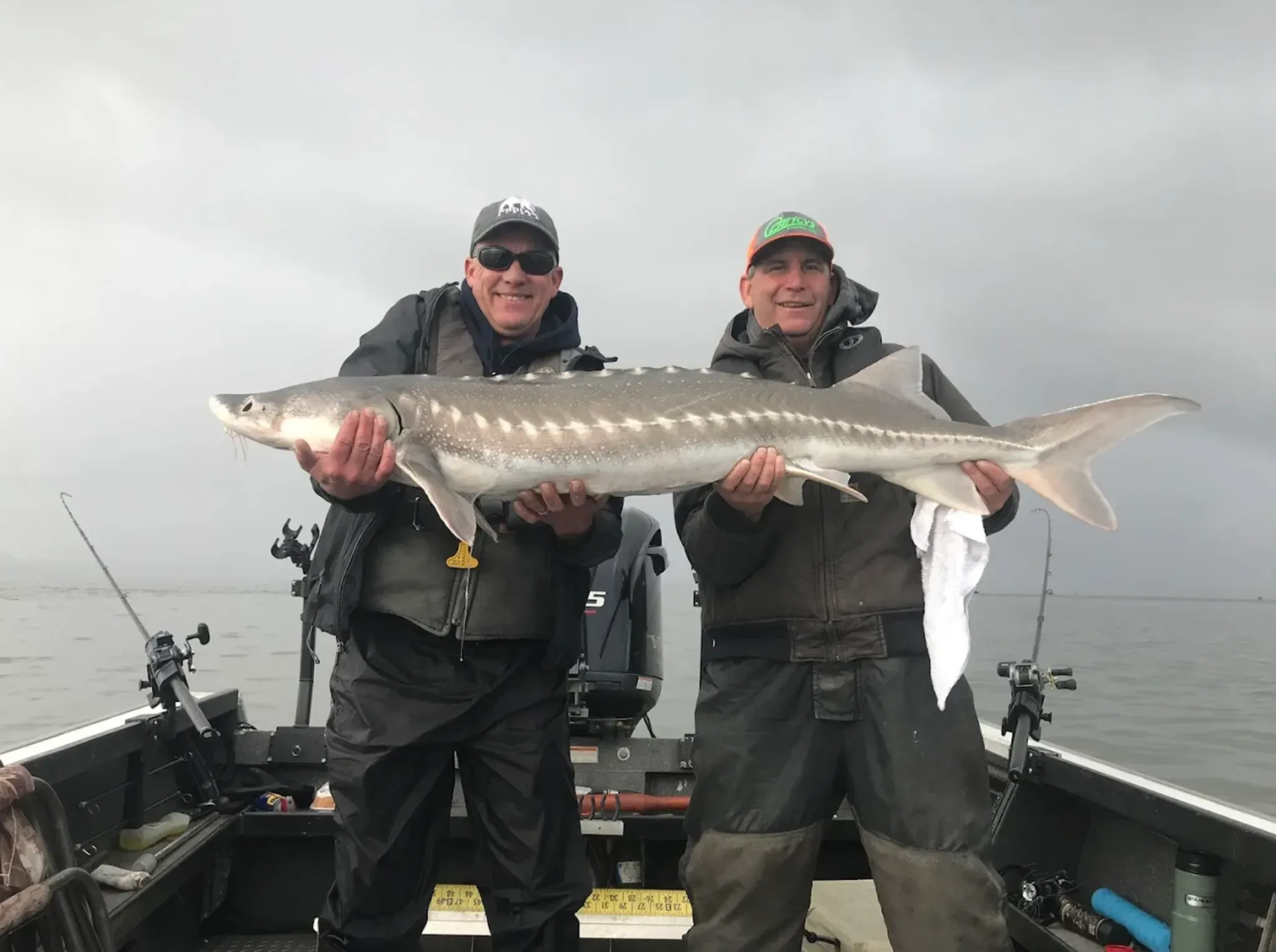 Sturgeon